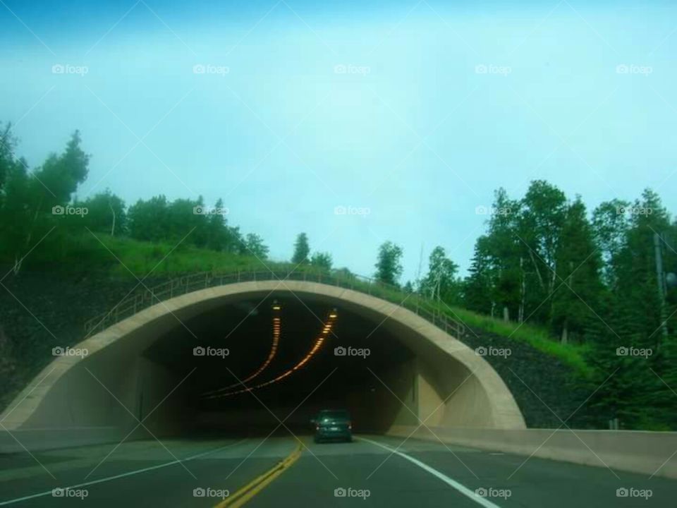 Into the tunnel