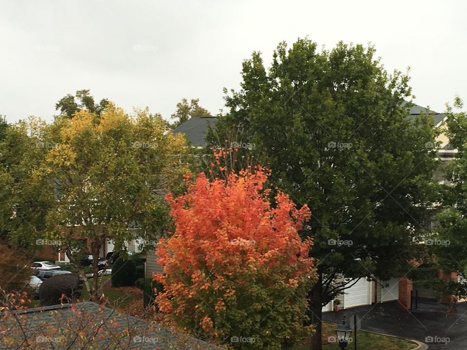 Apartment with a view.