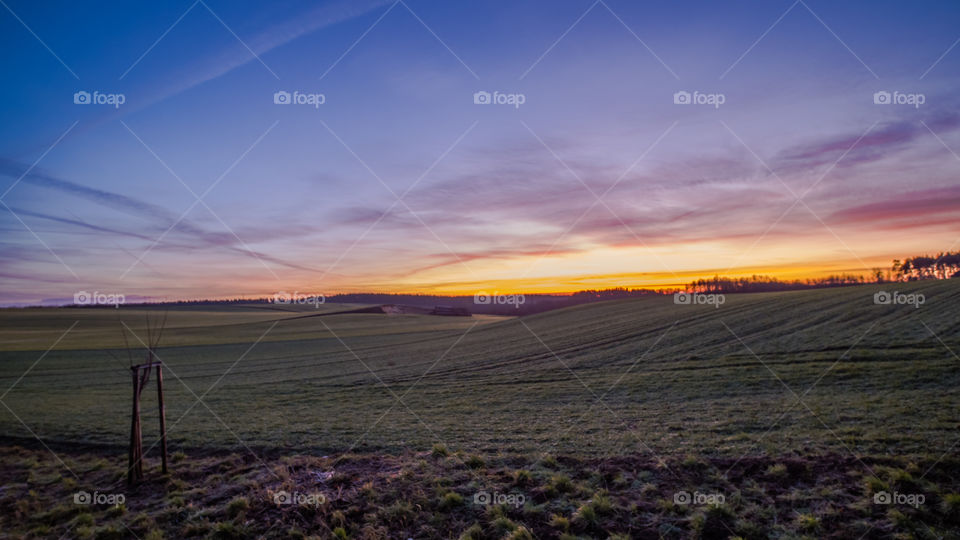 Osieczna, Leszno, Poland