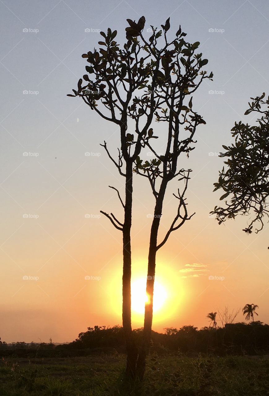 This wonderful sunshine in Lagoa, shows that nature reserves moments and times for us to reflect in peace! / O entardecer com o brilho do sol em Jundiaí, interior do Brasil. Viva a natureza e sua beleza!