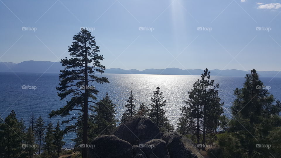 Lake Tahoe with snow capped mountains in view through the trees