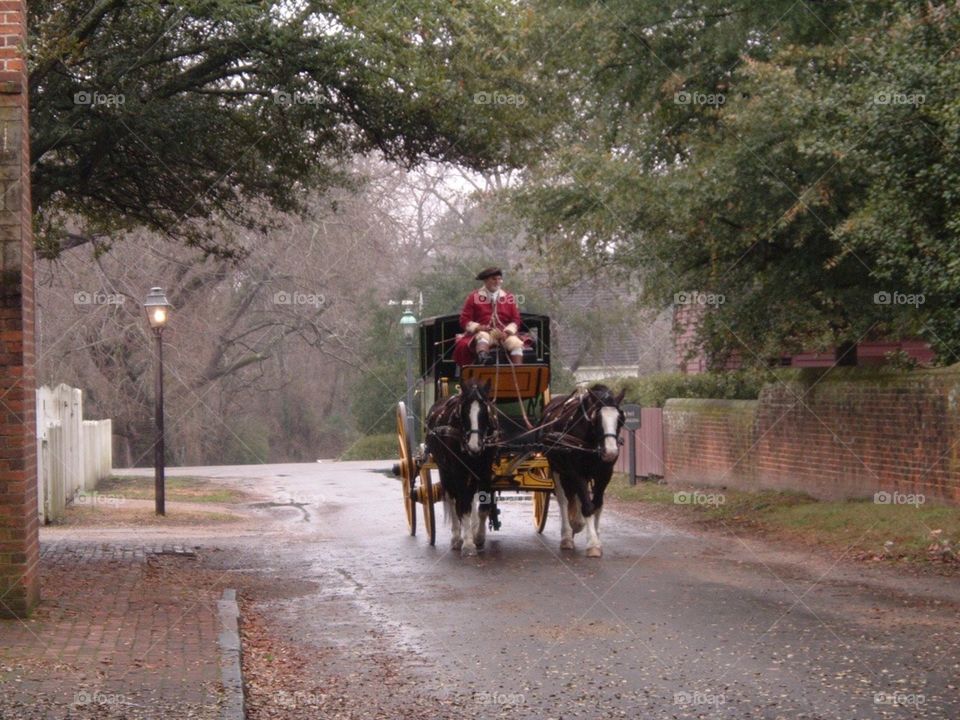 Carriage Ride. Colonial Williamsburg