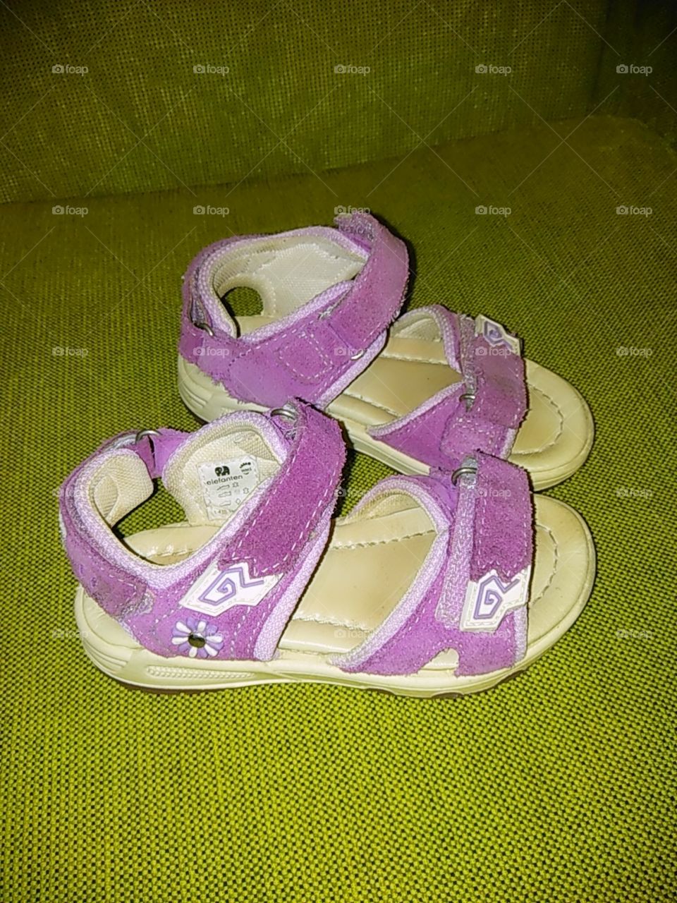 Elephant _ Quality Shoes