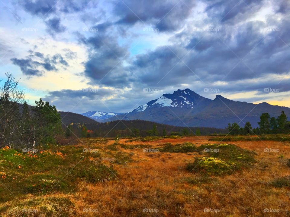 Autumn in the north 