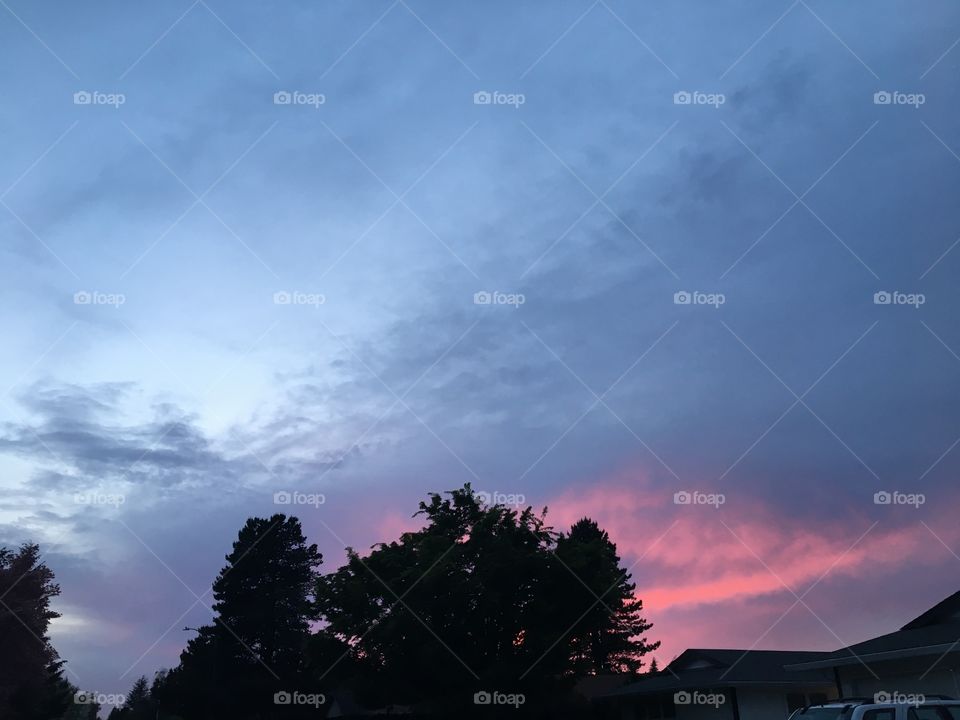 Cotton candy sky 🍭