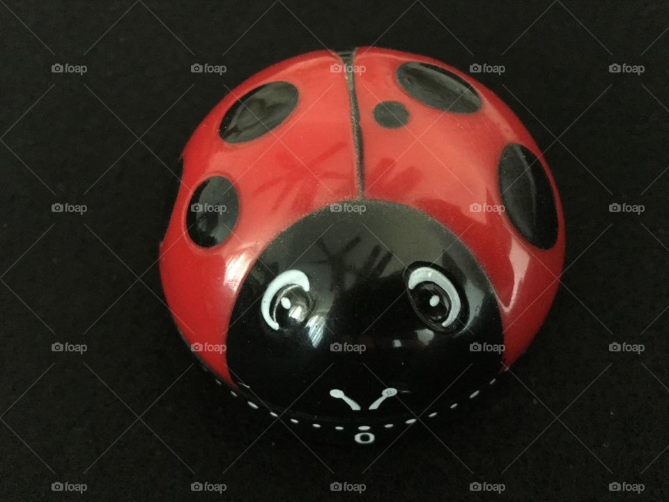 Ladybird timer close up 