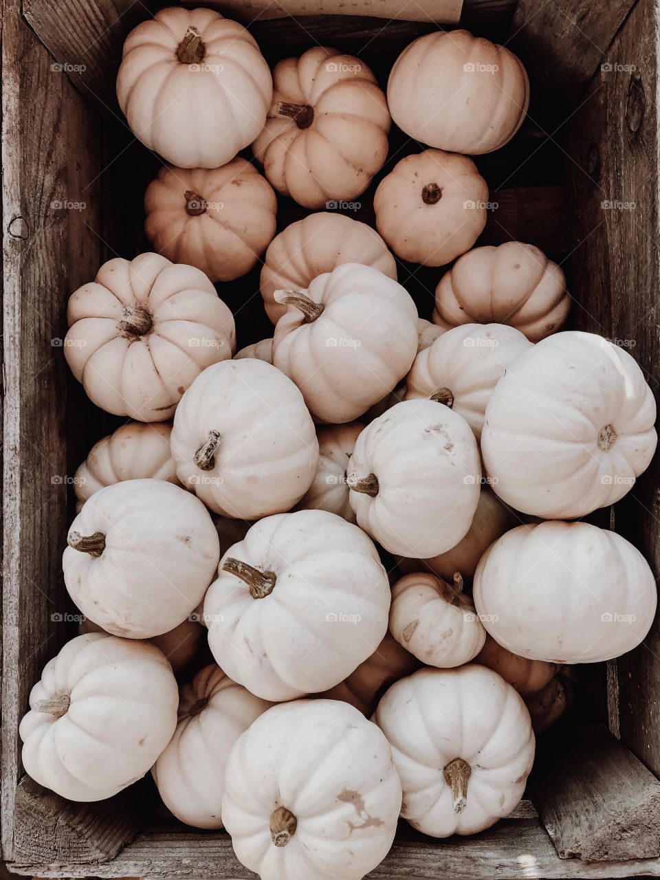 Pumpkins