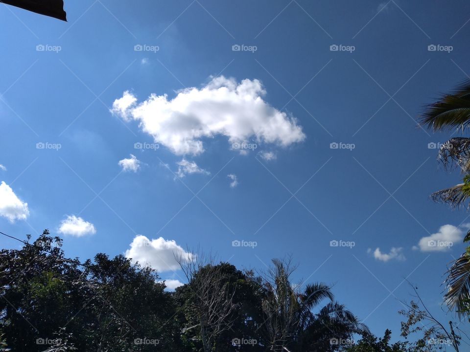 una mirada hacia el cielo.