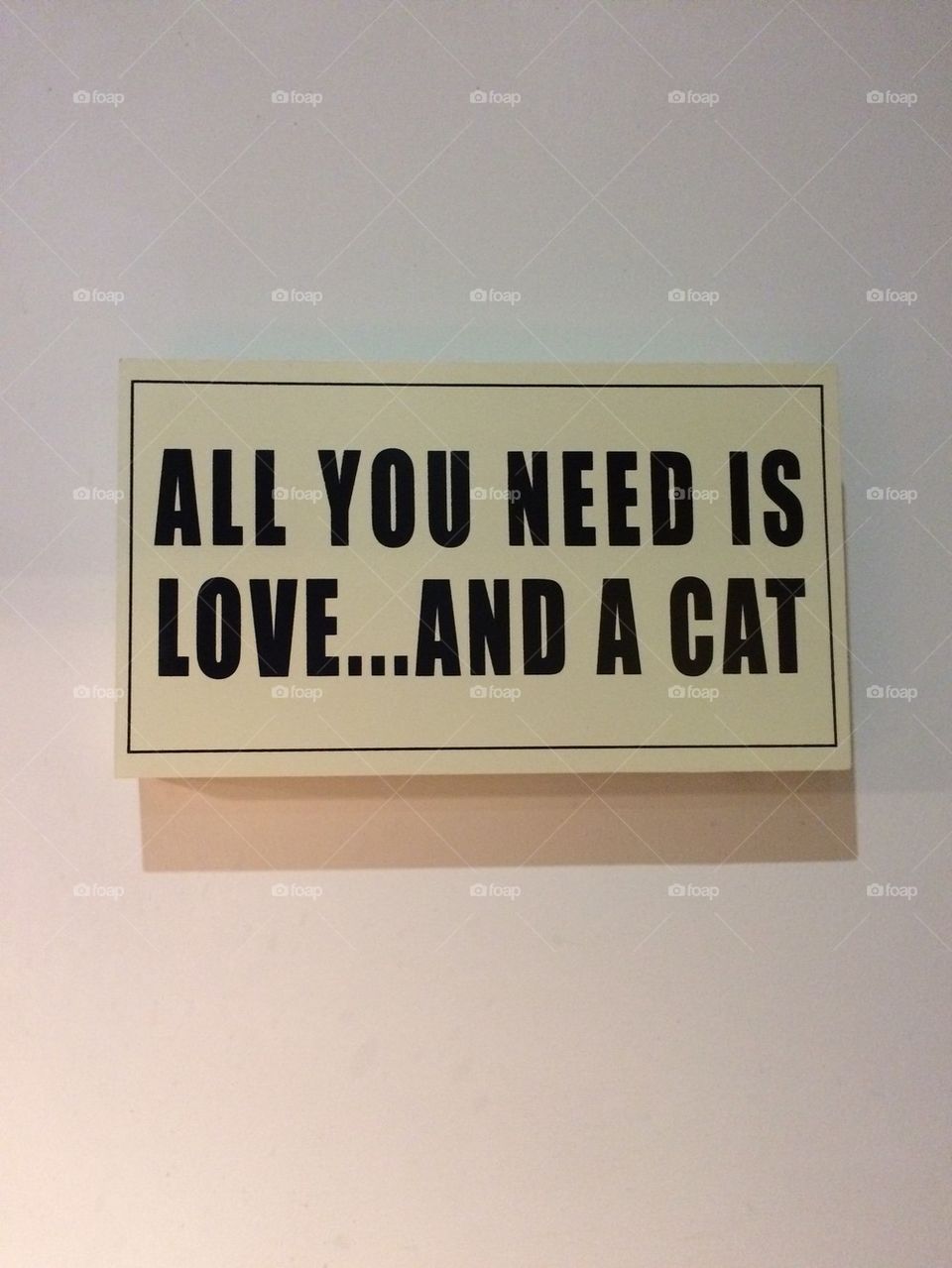 Love and a cat