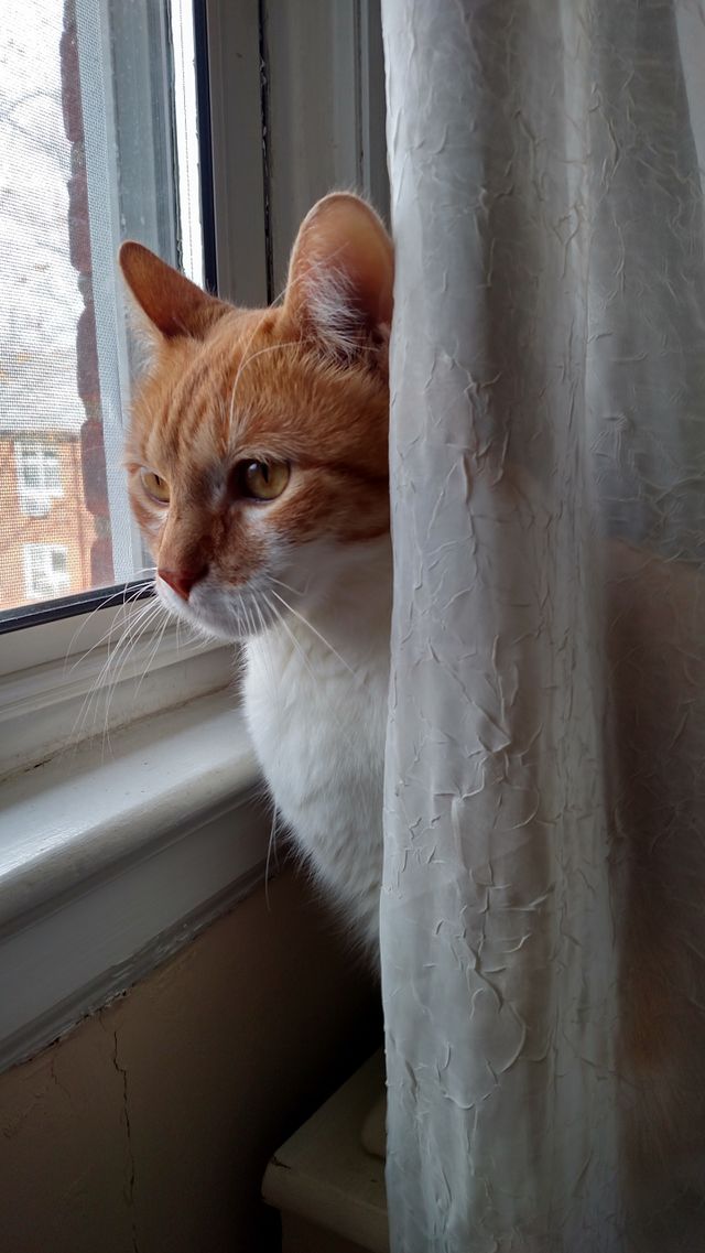 spying