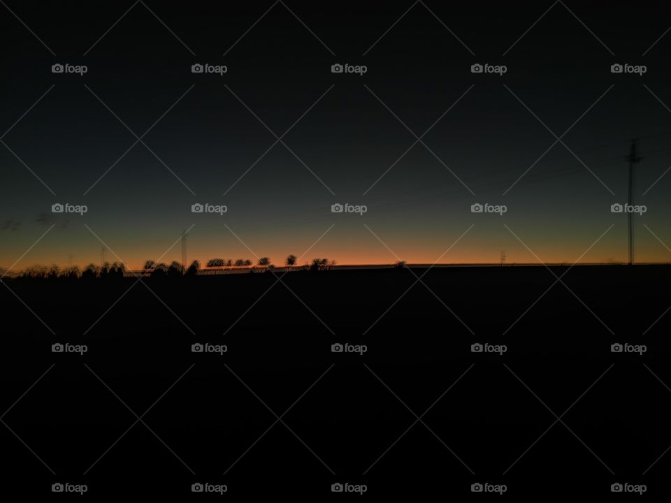 Trees on hill evening