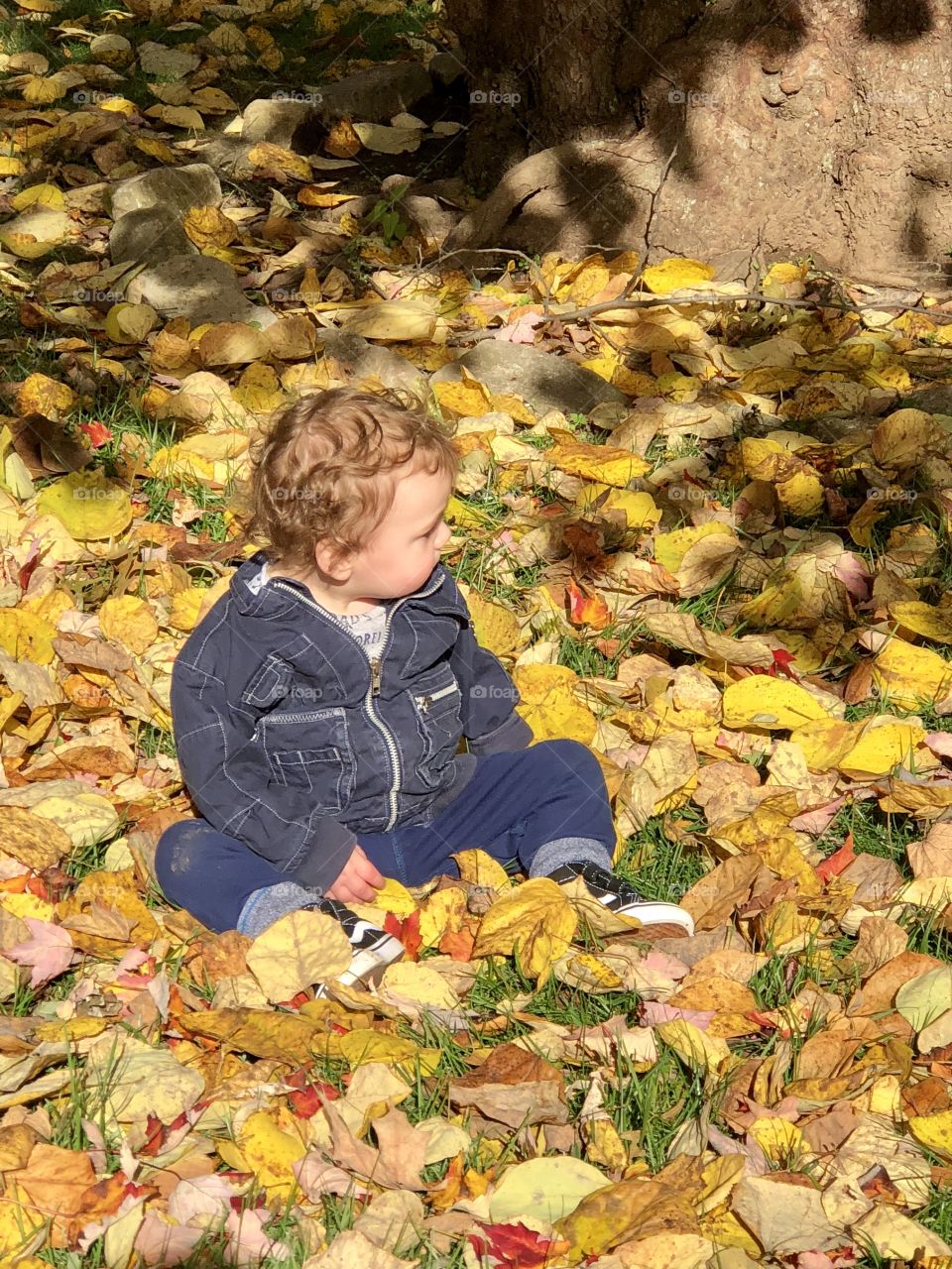 A boy in the leaves