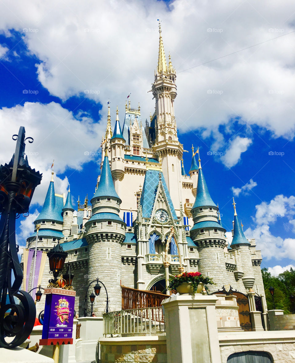 Cinderella castle during the day 