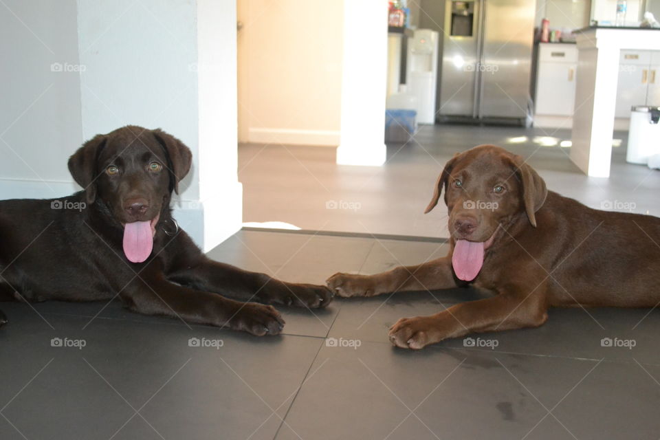 Brother and sister together after a fun play date 