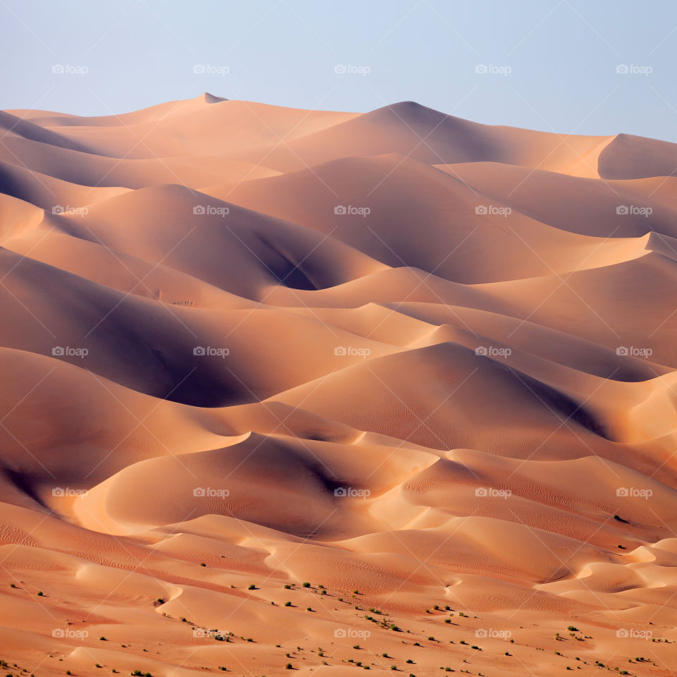 Sand dunes ocean in UAE