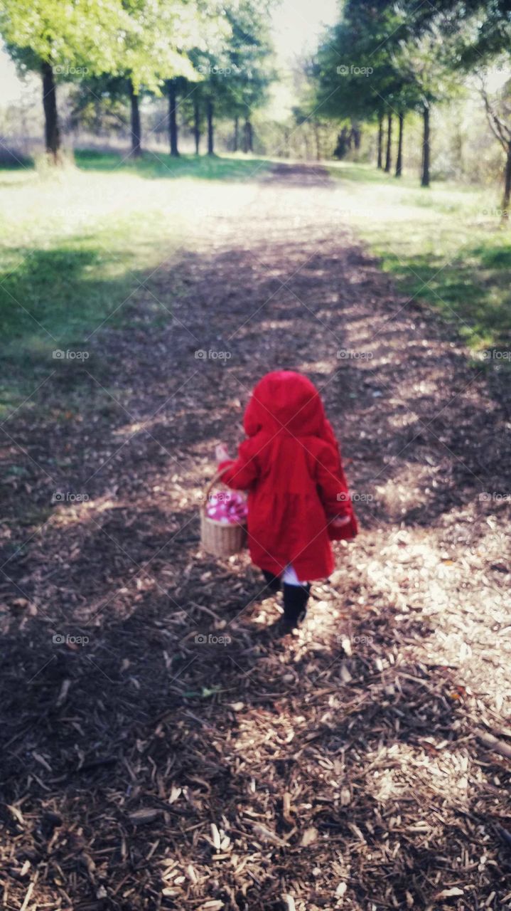 Little Red Riding Hood on her way to grandma's