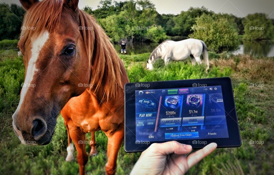 A woman's hand holding an electronic note pad in a field with horses and a man fishing favorite gadget