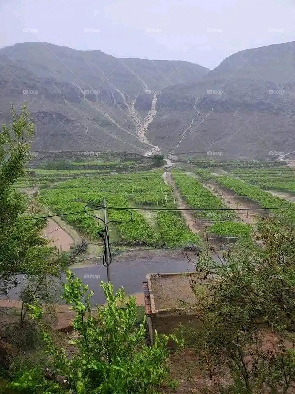 Glory be to God, the magnificent and picturesque view and the natural green trees are a view that is nothing more wonderful than it