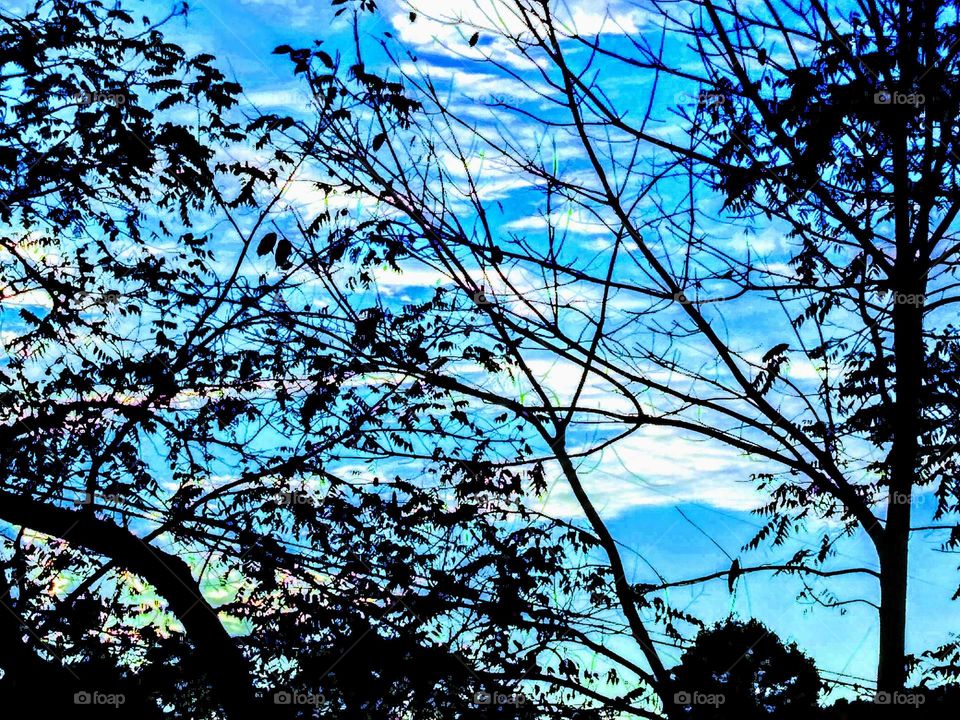 Morning sky at the farm.