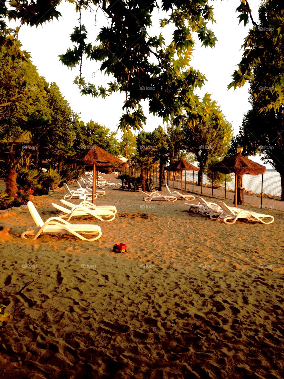 No Person, Tree, Travel, Outdoors, Street