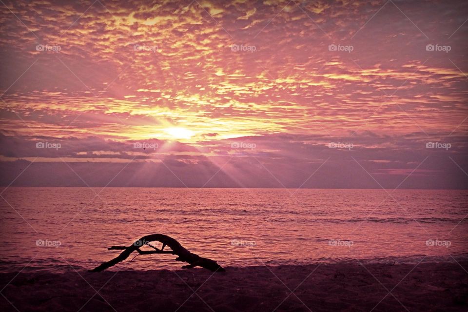 Driftwood on the beach at sunset.