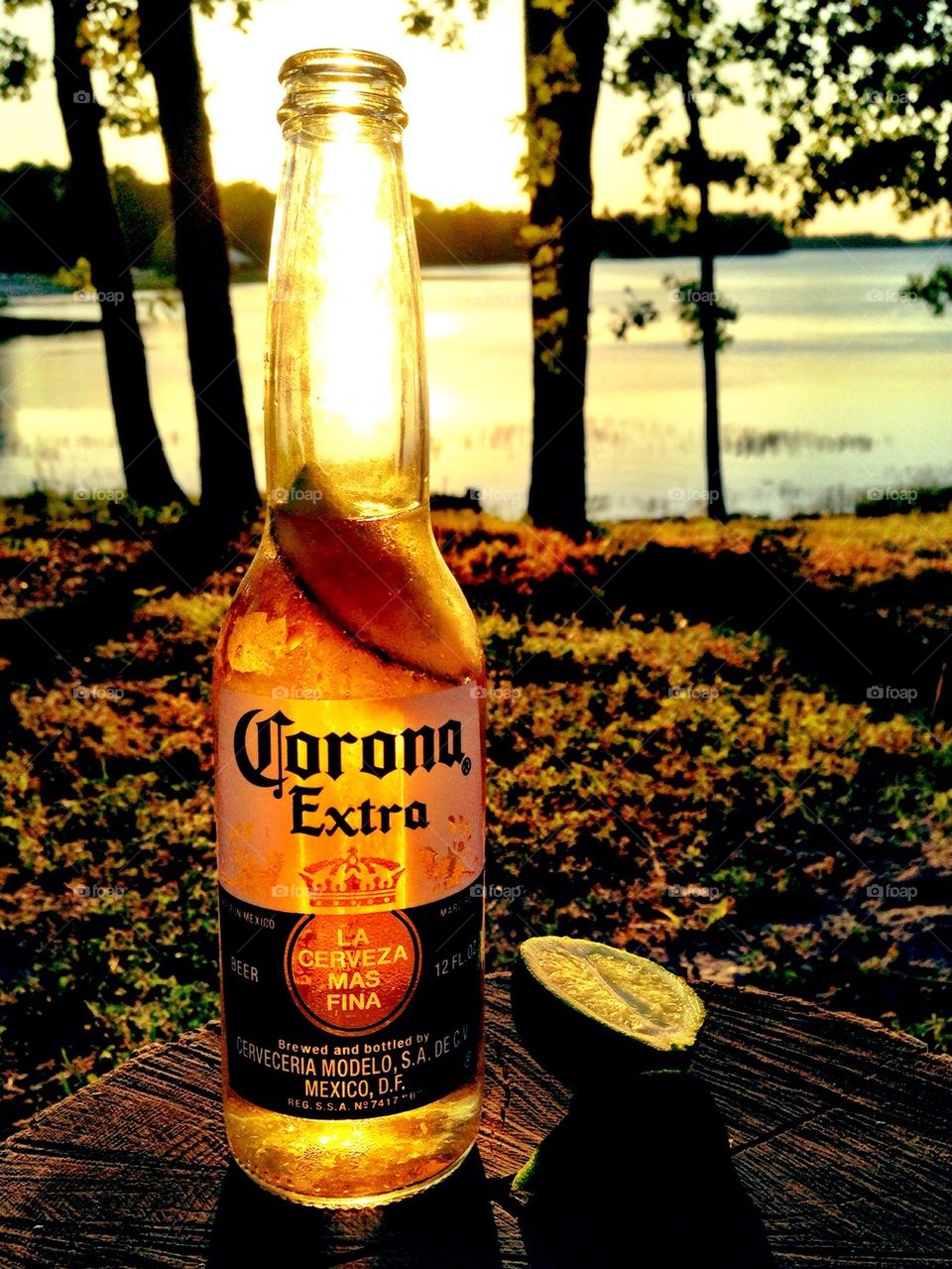 Corona 