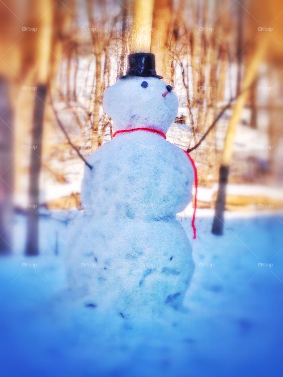 Snowman