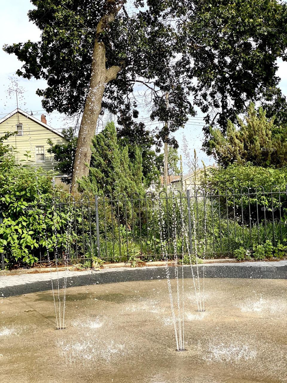 Sprinkler on in the park 