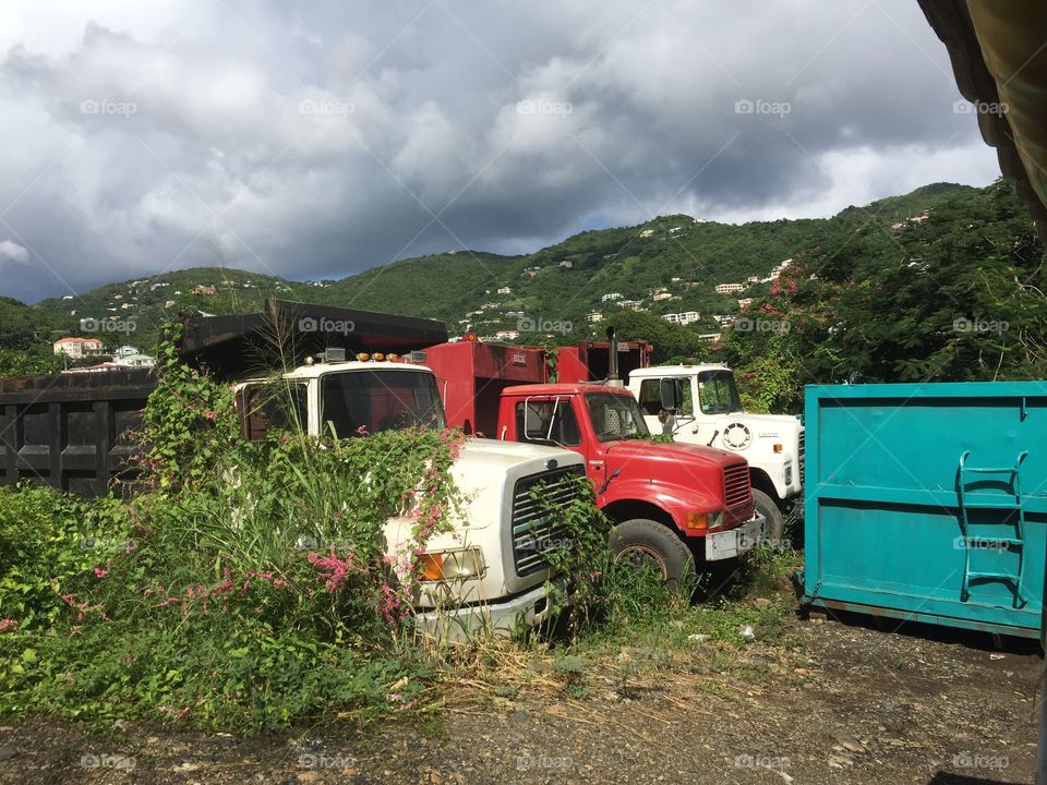 Abandon ford trucks