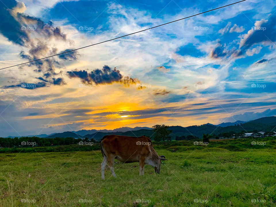 Appreciate the beauty and animals around you