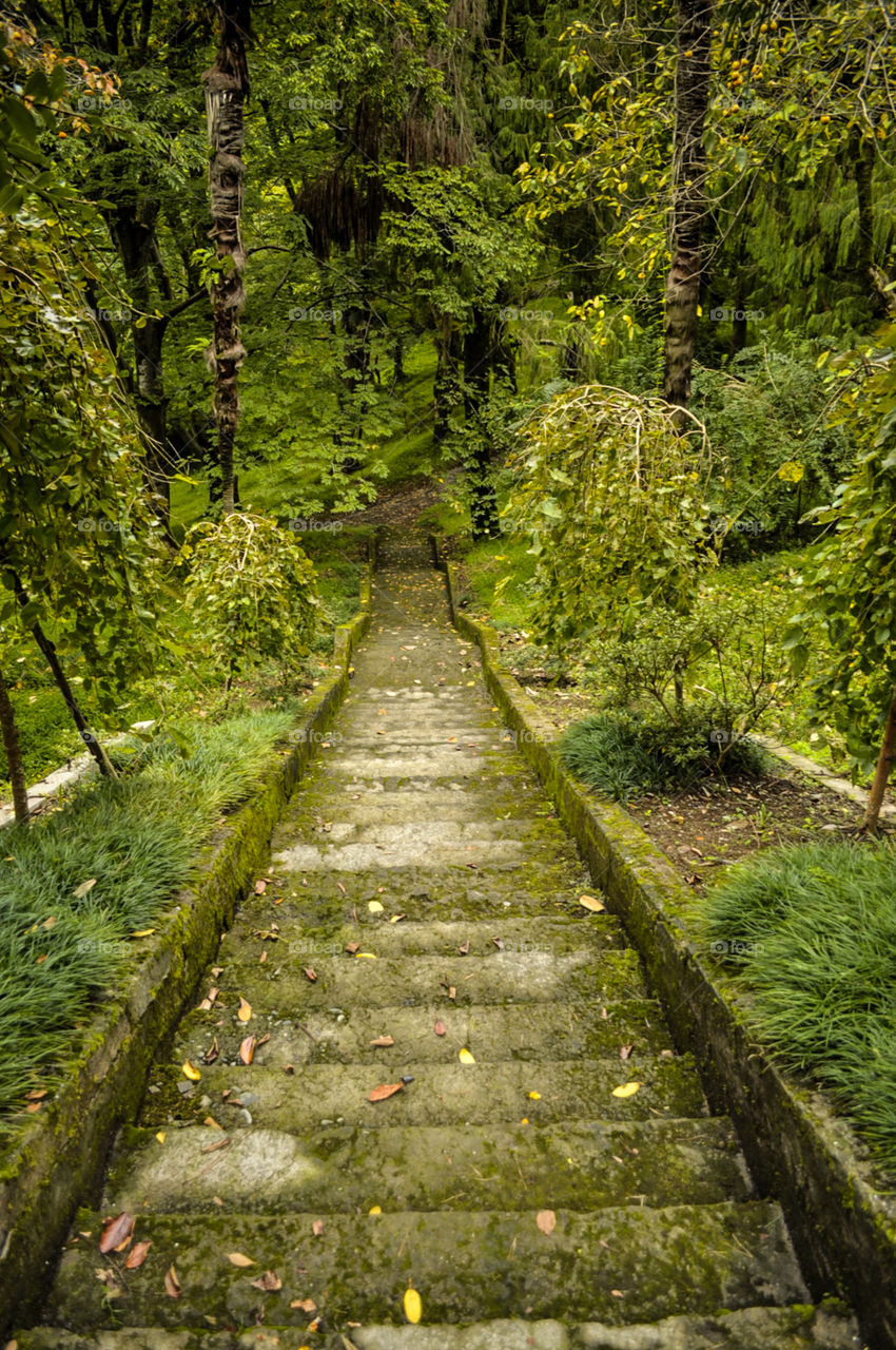 Stairs going down