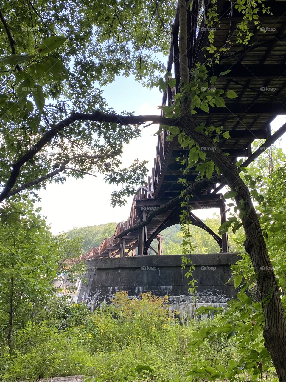 Just a beautiful sunny morning 