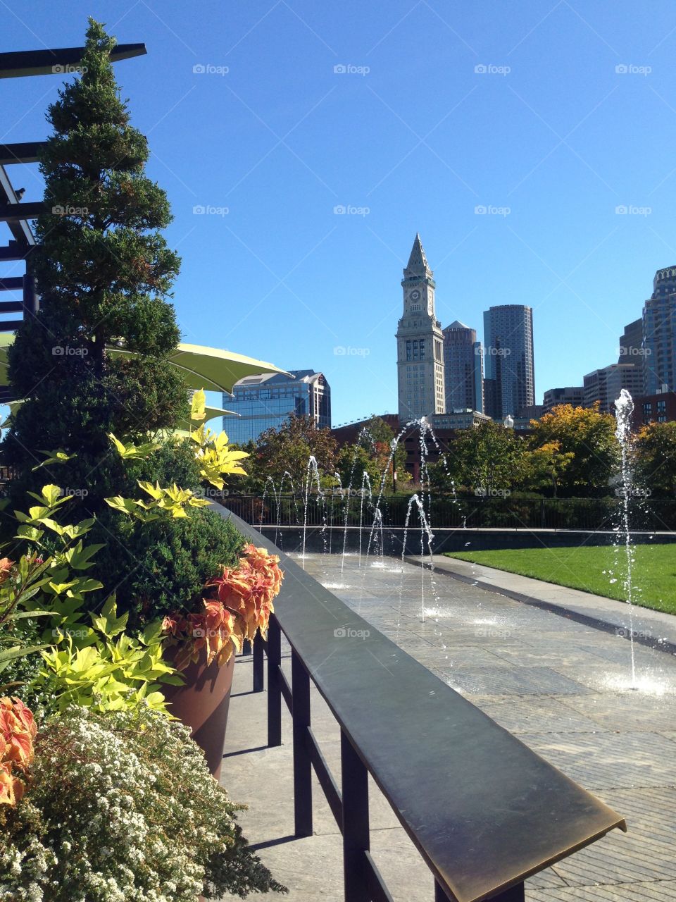 What a day for a walk, look at the details, feel the freedom, the fresh air...