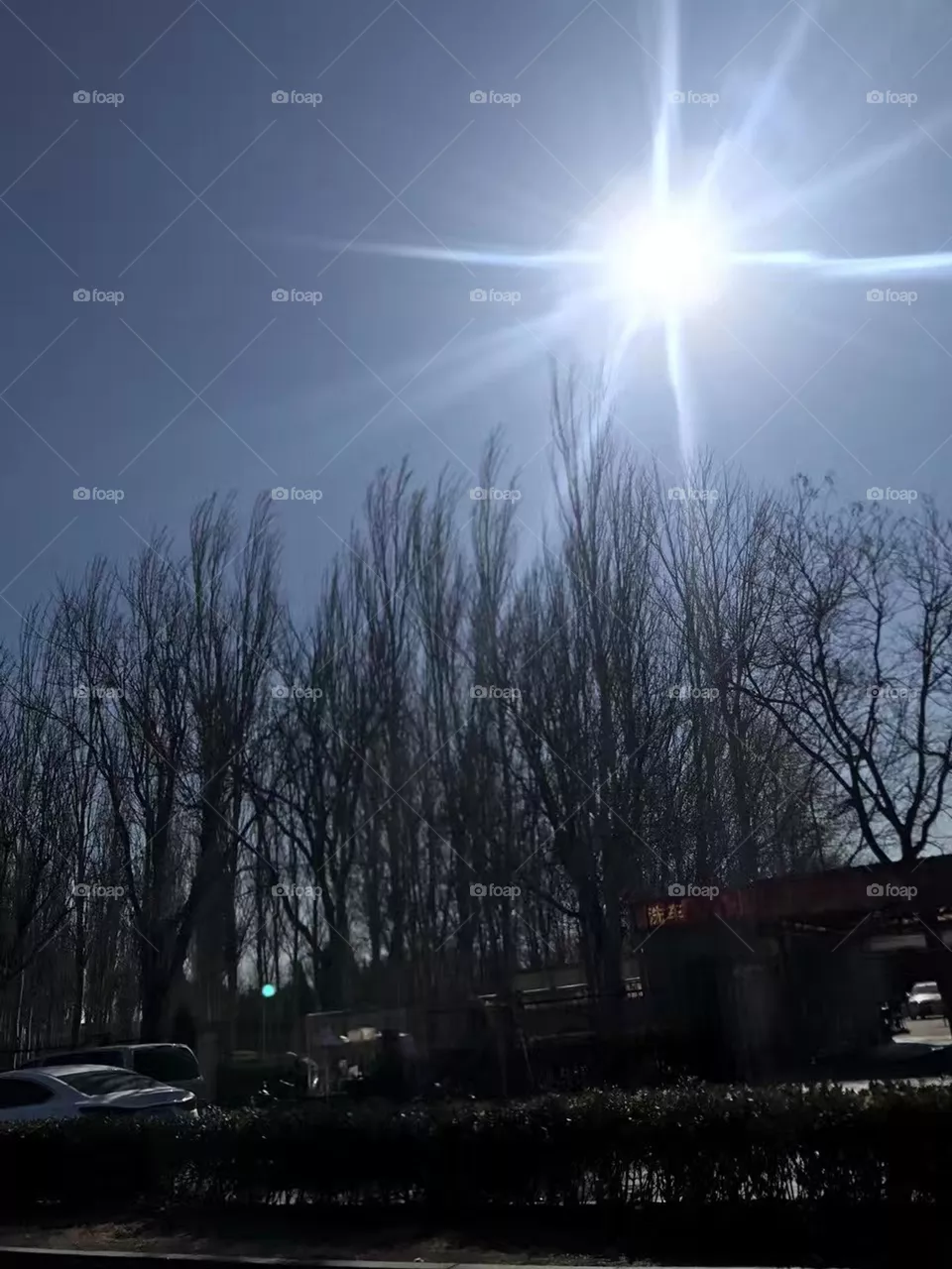 Sunlight