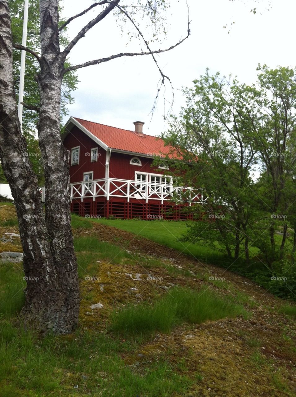 sweden garden trees houses by stellana100