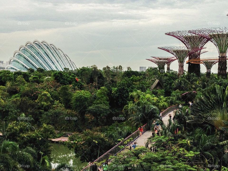 Gardens by the bay