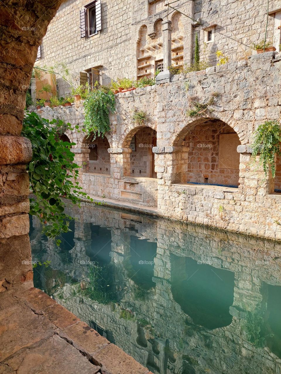 Fishpond with reflection in the old castle of Petar Hektorovic, Stari Grad, Hvar.  Croatia