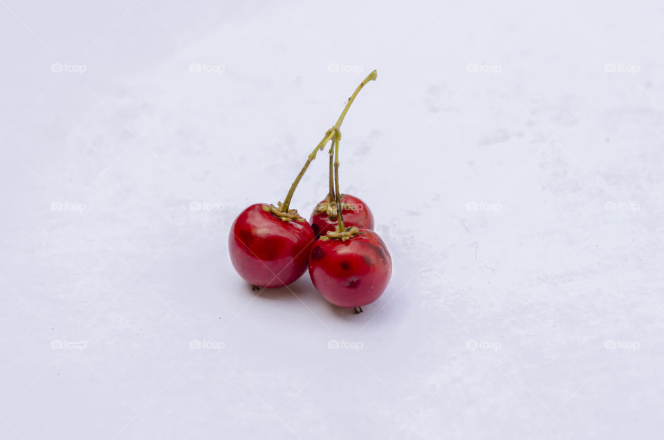 Malpigia Globra Fruits On Stem Against White Background