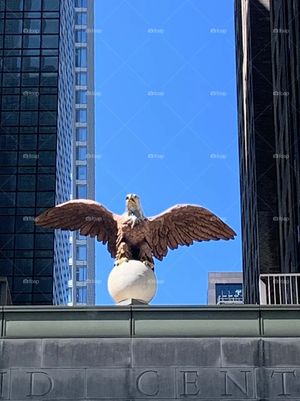 Spread his wings