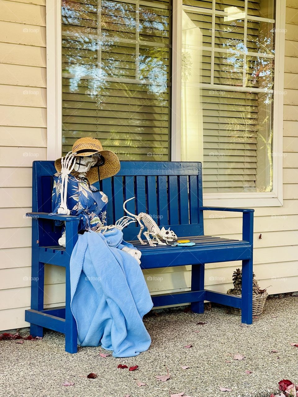Skeleton lady in hat with skeleton cat seats on the bench next to the house 