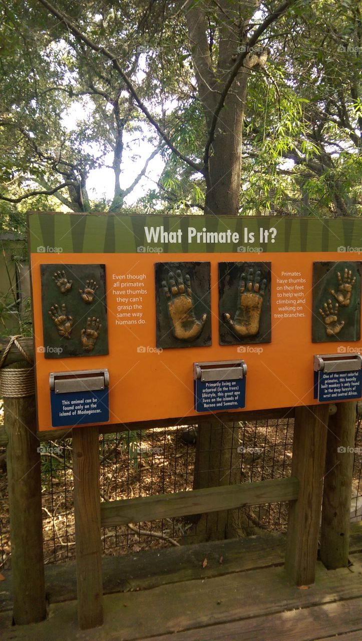 Wood, No Person, Tree, Outdoors, Landscape