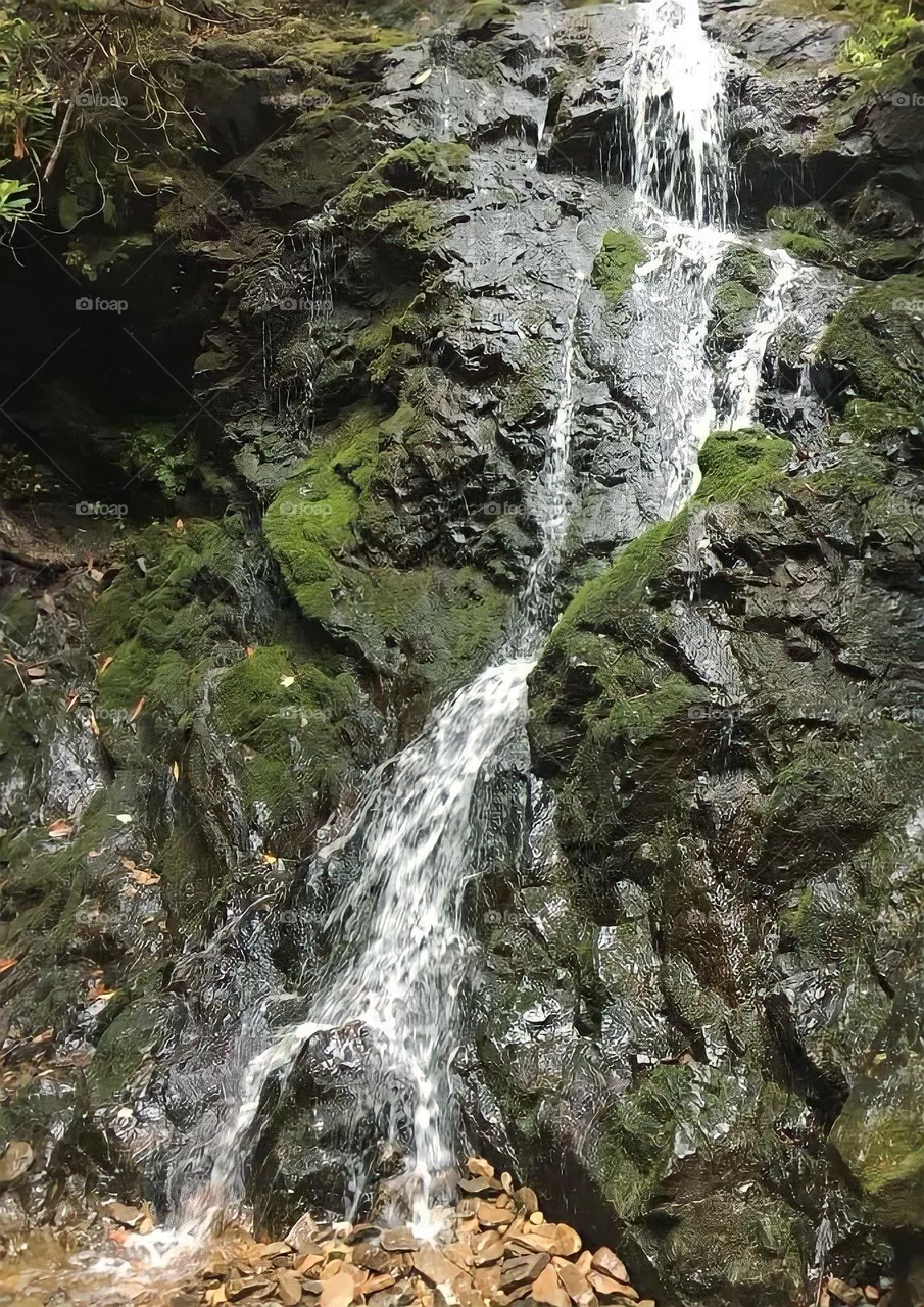 Waterfall in Tennessee 