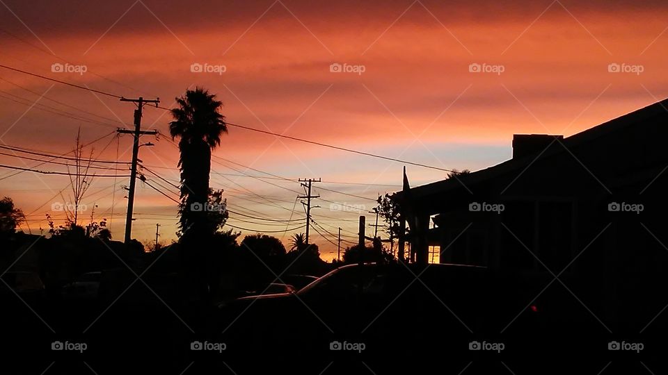 sunset in suburbs