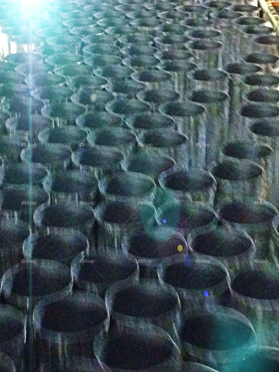 24oz. Wet can conveyor in motion