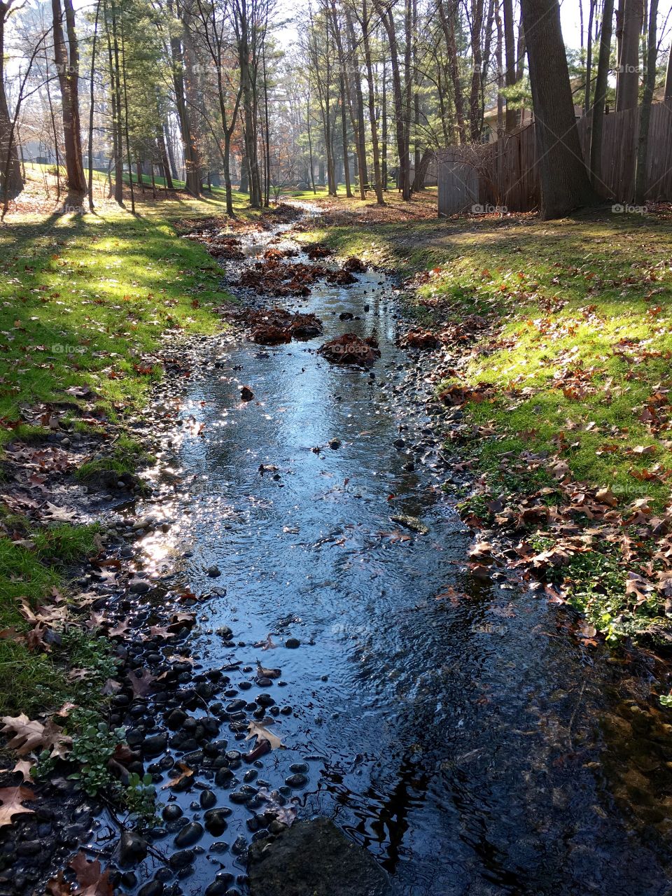 Backyard stream