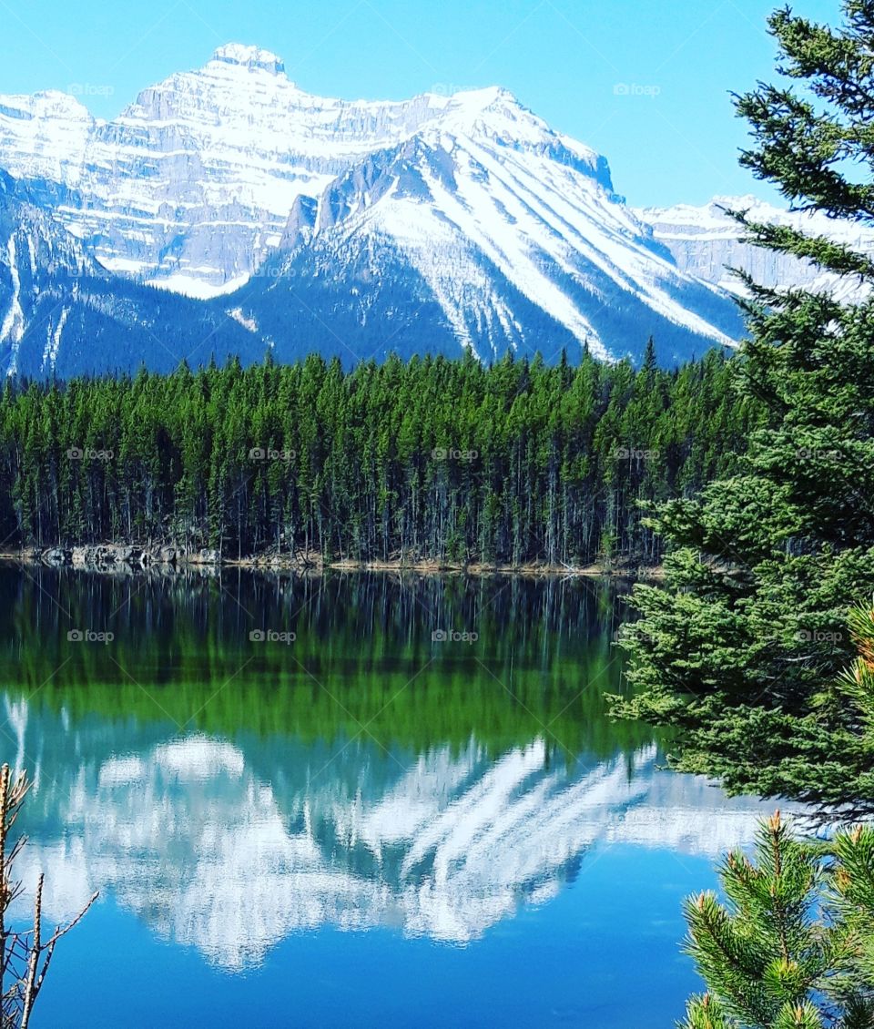 relection in Jasper national park in june 2019