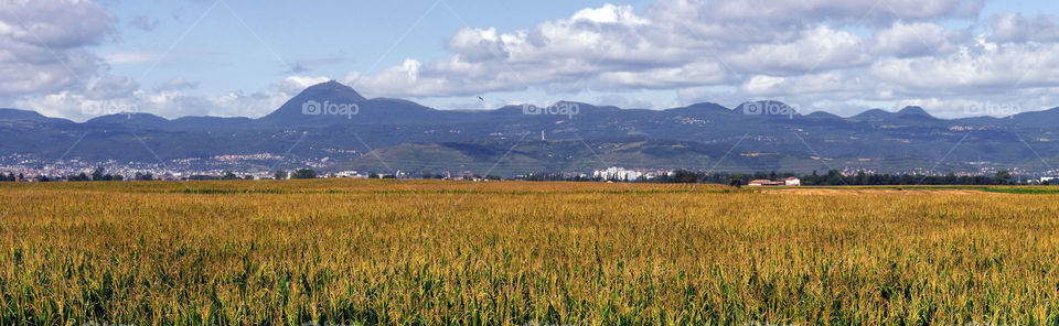 Auvergne 