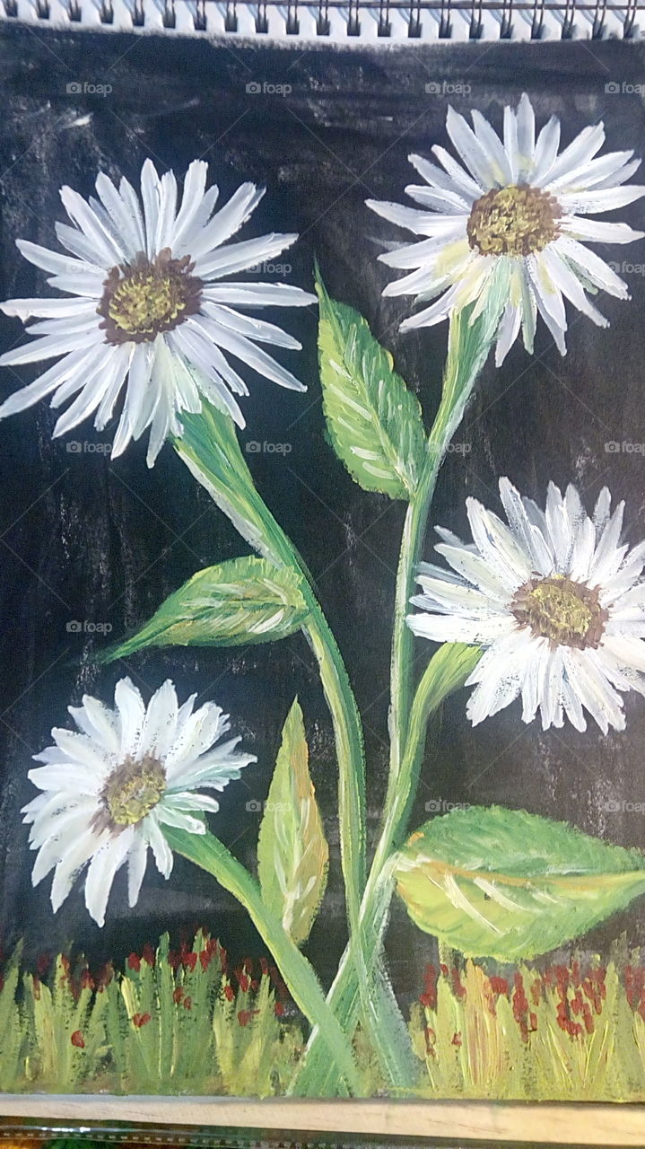 my painting of daisies..