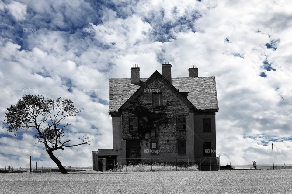 A single solitary abandoned house with vines growing across the face of it sits alone next to a tree in monochrome on a beachfront.