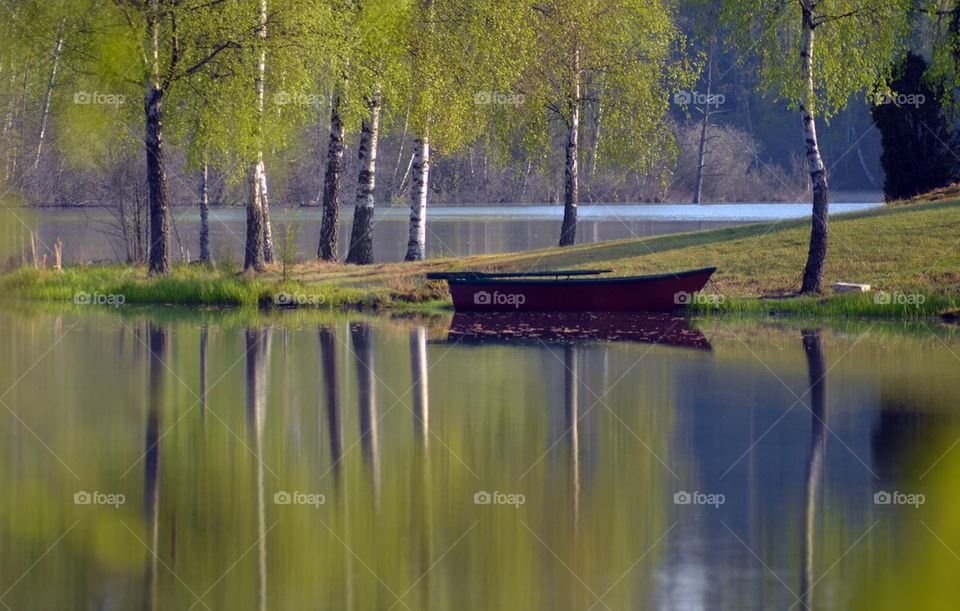 Rowing boat near lake